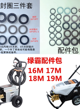绿霸高压水枪配件包LT-16M17M18M 19M清洗机洗车水泵3WZ18110/127