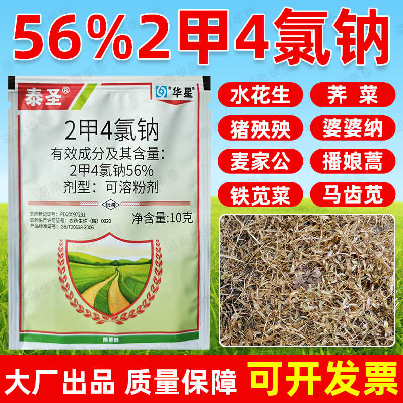 小麦水稻田一年生阔叶草华星