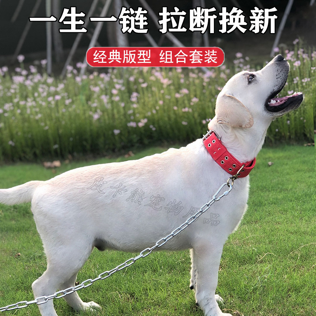 狗链子大型犬铁链子套装牵引绳