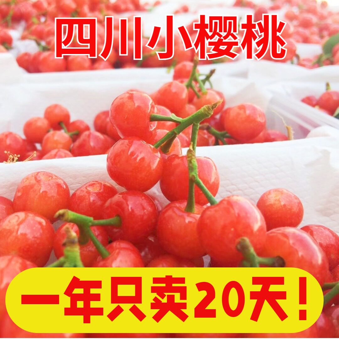顺丰空运四川攀枝花米易小樱桃玛瑙红新鲜孕妇水果L24mm以下