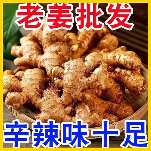 云南小黄姜生姜姜母黄姜新鲜老姜嫩姜现挖