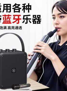 琅韵大功率100W无线蓝牙音响二胡吉他电吹管乐器户外便携音箱