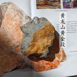 紫砂壶原矿石 黄金段泥原矿标本 宜兴黄龙山正宗原矿紫砂壶