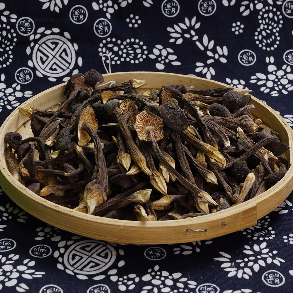 [赵露思推荐]海伶山珍 | 黑皮鸡枞菌80G/袋