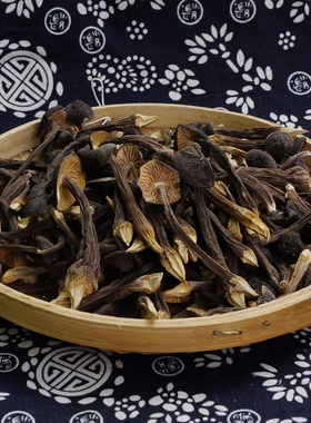 海伶山珍 | 黑皮鸡枞菌80G/袋