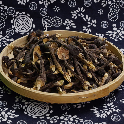 海伶山珍 | 黑皮鸡枞菌80G/袋