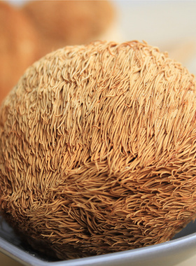 海伶山珍丨猴头菇150克 干货天然野外种植猴菇农家