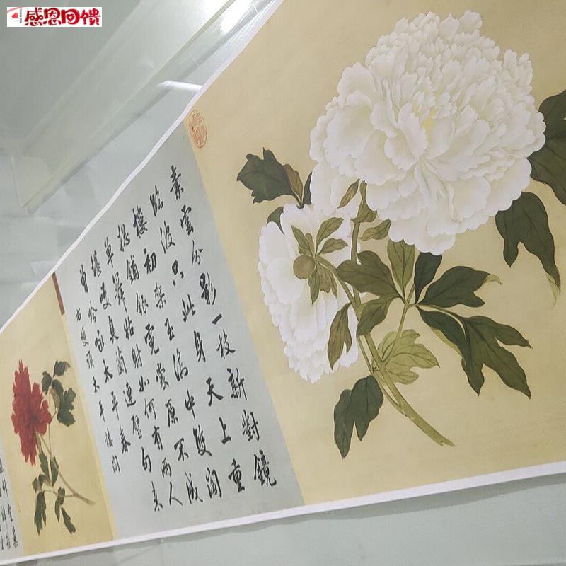 11蒋廷锡百种牡丹谱j20幅复古尺牍书画花鸟写真国画彷古复制