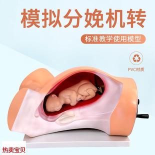 高级分娩机转f示教模型妇幼产科胎儿接生助产演示过程难产护理模