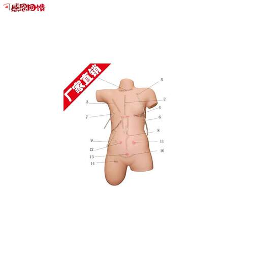 外科缝合包扎展示模型清创训练模型切开缝合演示拆线w换药训练模
