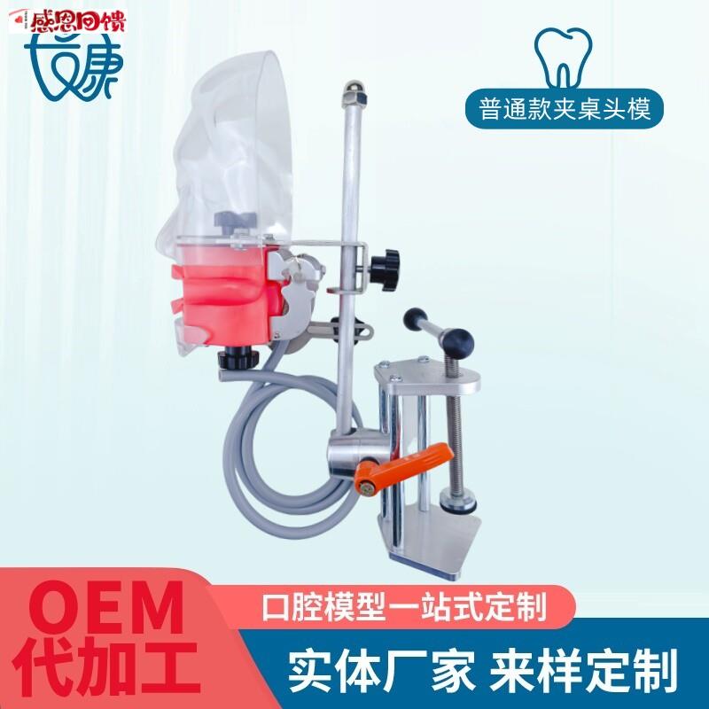 牙科简易仿真头模树脂可拆卸牙y齿备牙正畸修复仿头模口腔教学模