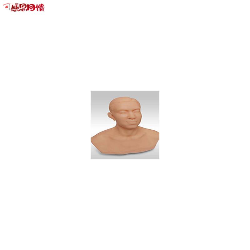针灸头部M训练模型针灸模