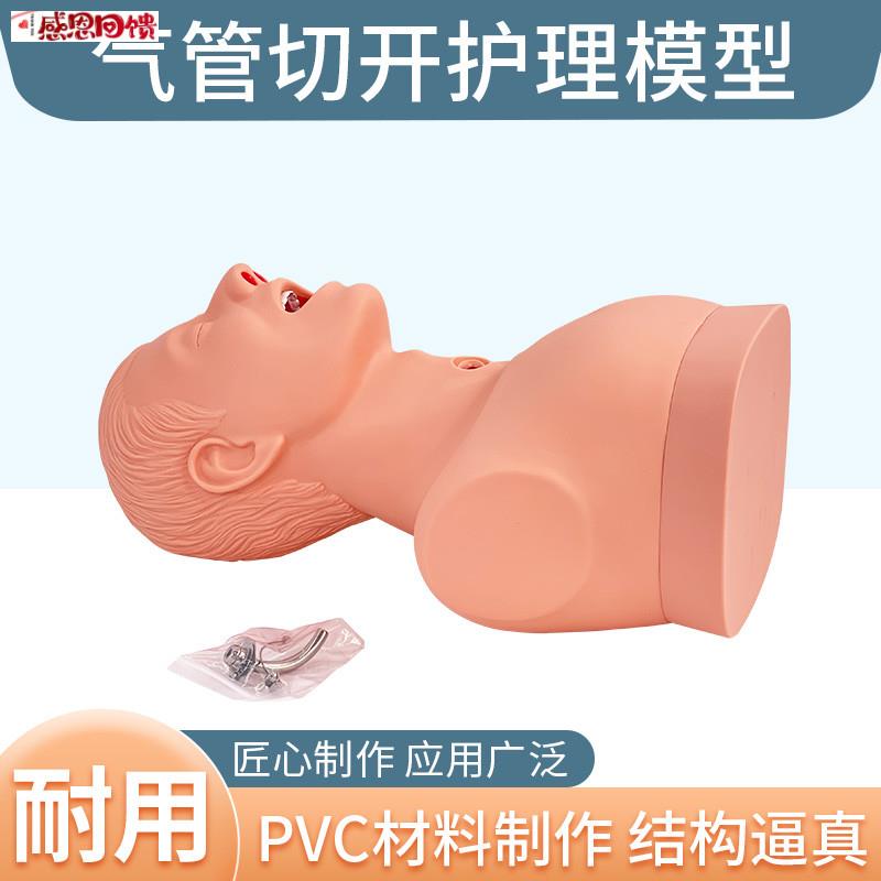 高级成人气管切开护o理模型 吸痰练习培训模型 医学用气管护理教