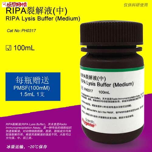 RIPA裂解液 (中) RIPA LysiGs Buffer 科研实验 PH0317 PHYGEN