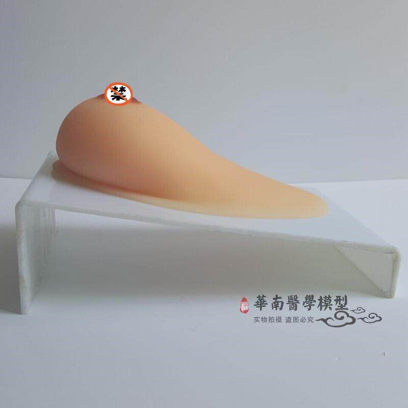 假乳义乳_女性乳房模型_催乳师培训道具_哺M乳教学模具 催乳教育