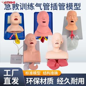 蓝蝶成人电子人体气管插管训练模型牙齿带L报警气道管理插