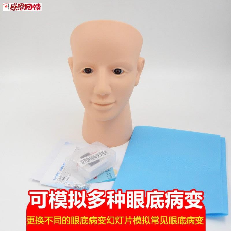 眼视网膜病变检查模型眼底检查病变诊m断技巧教具视网膜模