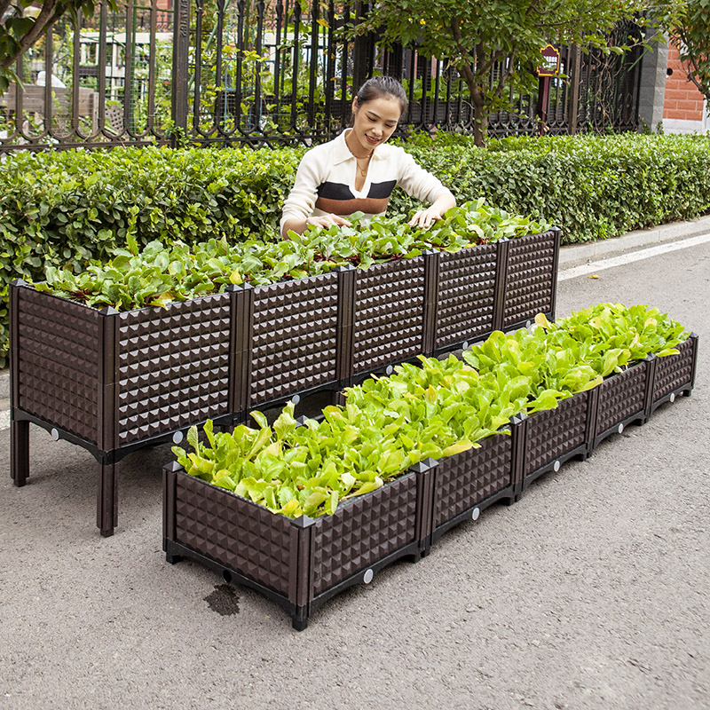 加深蔬菜种植箱种菜屋顶塑料