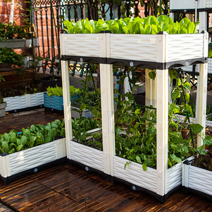 立体组合 花盆种植槽 户外特大长方形 阳台蔬菜种植箱 一米菜园