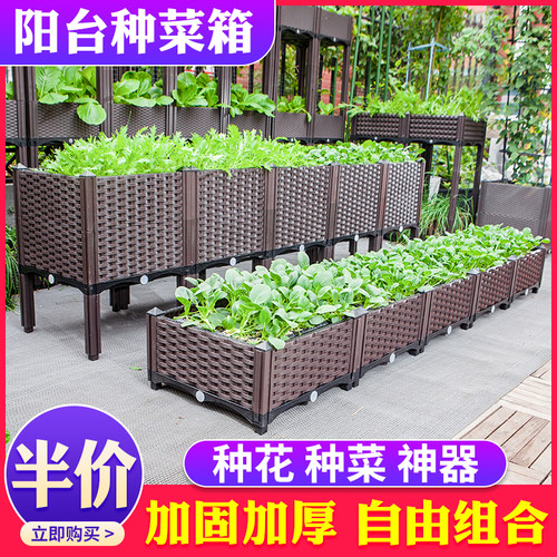 种菜专用箱阳台种菜神器