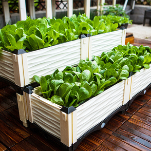 阳台多肉种植槽 一米窄款 种植箱 30宽新款 阳光菜园室内种菜盆