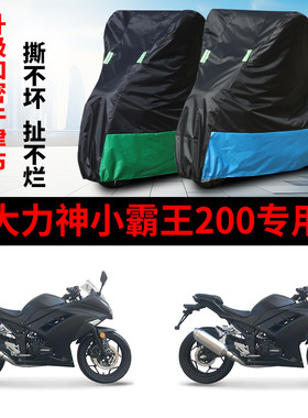 适用大力神小霸王200摩托车防雨水防晒防霜雪牛津布车衣车罩套