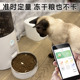 鸟语花香mini智能自动喂食器猫咪狗狗猫粮狗粮定时定量宠物投食机