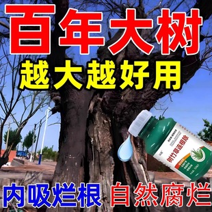 大树烂根药大树一滴死烂树根剂除树强力除草灭竹子枯树专用药神器