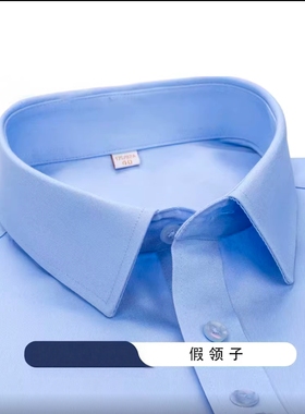 各单位浅蓝色假领 铁蓝色工装领子甘肃公航高速航旅蓝涤棉秋冬制