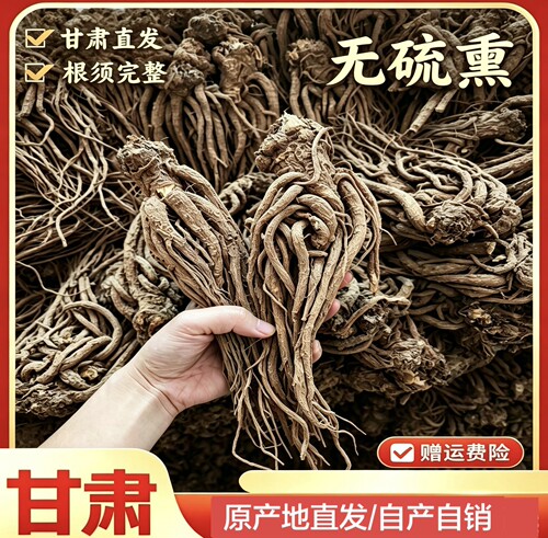 甘肃原产地深山特级当归全当归正品无硫纯手工中药材正品产地直发