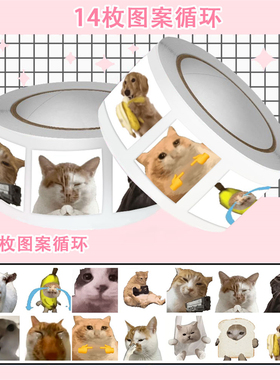 可爱meme哈基米卷卷贴纸抽象网咯热梗表情包贴纸手账diy素材贴画