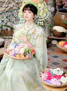泉州浔浦女簪花服装明制汉服立领长衫绿色刺绣马面裙全套新款旅拍