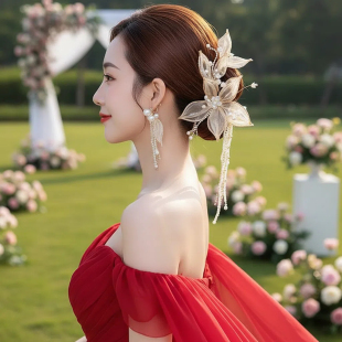 新娘香槟色头花头饰发饰套装 珍珠流苏主婚纱礼服配饰品森系超仙