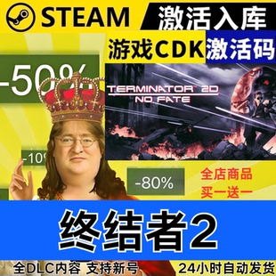 CDKEY 全球区激活码 Terminator FATE Steam正版 终结者2