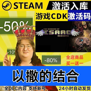 Steam正版 以撒的结合重生忏悔胎衣 全球区激活码CDKEY 全DLC