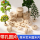 沙盘模型树底座荷木圆片带孔圆木片实木模型制作DIY手工材料配件