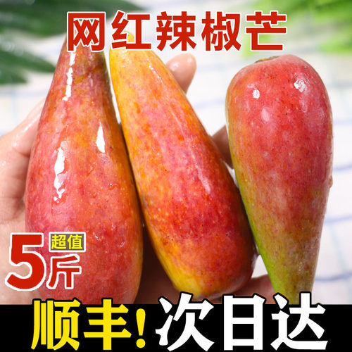 辣椒芒海南新鲜现摘现发