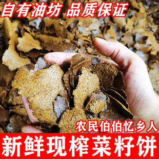 农家自榨正宗菜籽饼种菜发酵肥料打窝料有机肥油枯菜籽香饼粉批发