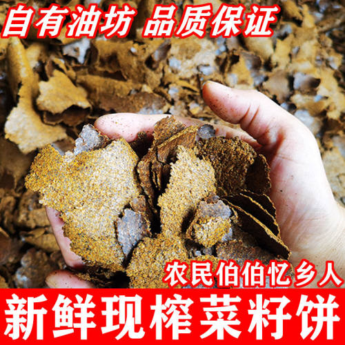 农家自榨正宗菜籽饼种菜发酵肥料打窝料有机肥油枯菜籽香饼粉批发