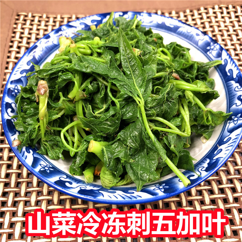 东北野生山野菜刺五加叶新鲜冷冻2斤蘸酱菜现采现发限区快递包邮