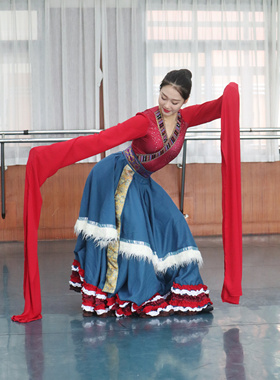 藏族舞蹈演出服女艺考练习裙大摆半身长裙民族风表演服