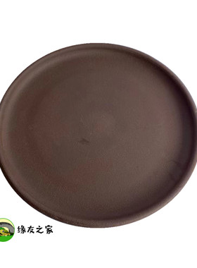 缘友之家黄缘闭壳龟安缘台缘箱盆