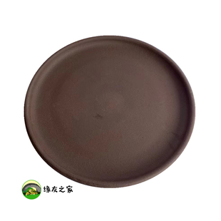 缘友之家 黄缘闭壳龟喂食盘 半水龟安缘台缘龟环境吃食盆龟粮盆