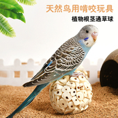 鹦鹉通草球玩具啃咬磨牙磨嘴磨喙藤球训练觅食球解闷磨爪玄凤牡丹