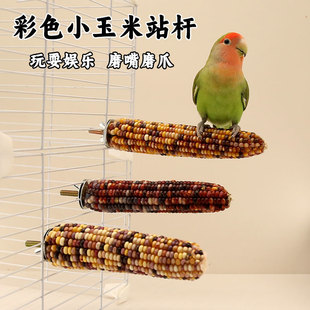 鹦鹉站杆小玉米鸟玩具玄凤牡丹啃咬磨牙玩具鸟笼专用配件用品大全