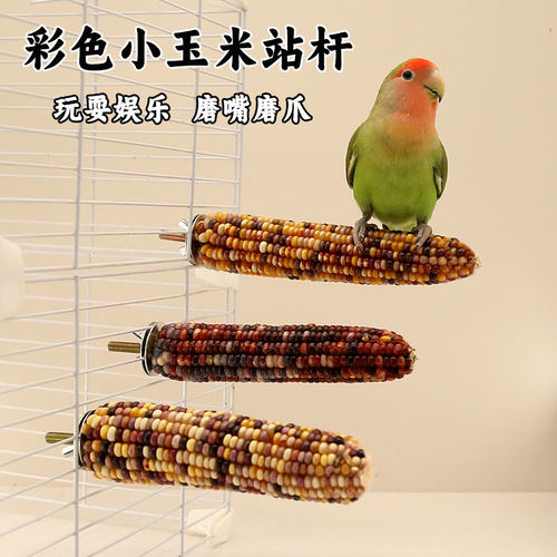 鹦鹉站杆小玉米鸟玩具玄凤牡丹啃咬磨牙玩具鸟笼专用配件用品大全