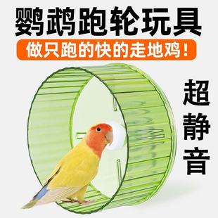 鹦鹉跑轮玩具解闷自嗨攀爬锻炼训练益智解压玄凤虎皮牡丹用品大全