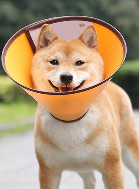 宠物伊丽莎白圈狗狗项圈防咬头套猫咪驱虫绝育防舔猫狗耻辱围脖套