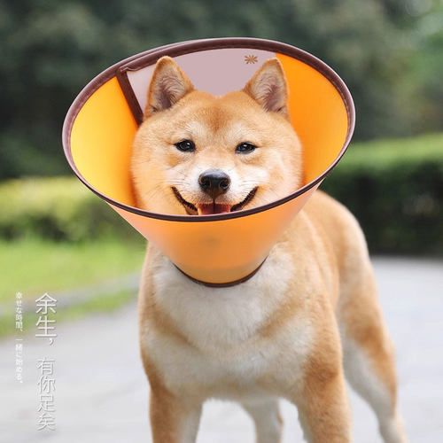 宠物伊丽莎白狗项圈防咬头套猫咪