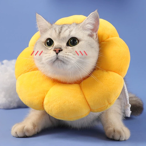 Кошка Элизабет мягкий воротник кошачий кошка стыд круговой круг солнца цветочниц вокруг шеи, чтобы предотвратить облизывание котят.